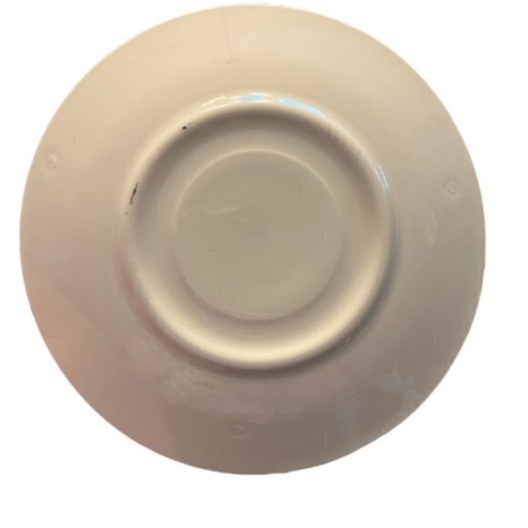 Vintage 1960's Cannonsburg Wild Clover Demi Cup and Saucer EUC CottageCore Indie - Picture 5 of 14